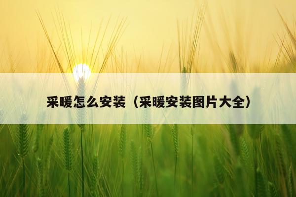 采暖怎么安装(采暖安装图片大全)