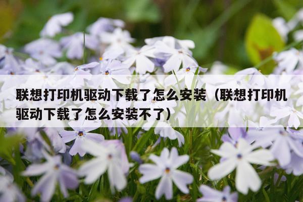 联想打印机驱动下载了怎么安装(联想打印机驱动下载了怎么安装不了)