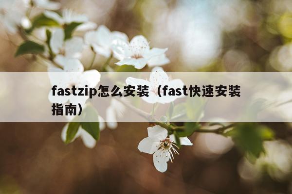 fastzip怎么安装(fast快速安装指南)
