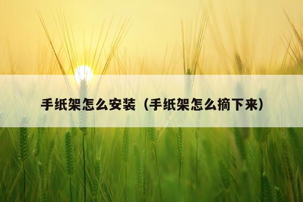 手纸架怎么安装(手纸架怎么摘下来)
