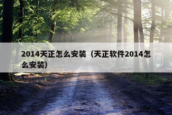 2014天正怎么安装(天正软件2014怎么安装)