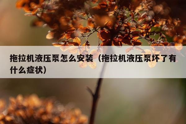 拖拉机液压泵怎么安装(拖拉机液压泵坏了有什么症状)