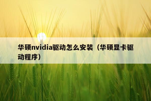 华硕nvidia驱动怎么安装(华硕显卡驱动程序)