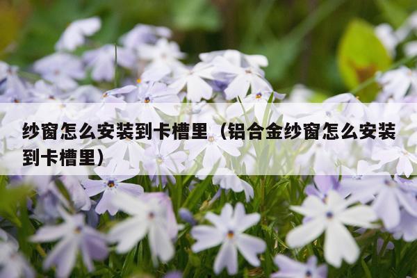 纱窗怎么安装到卡槽里(铝合金纱窗怎么安装到卡槽里)