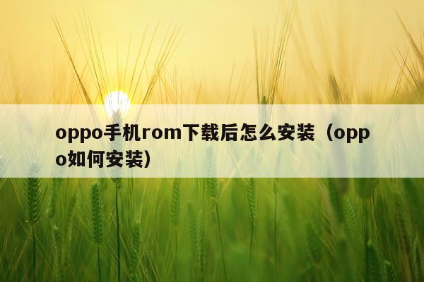 oppo手机rom下载后怎么安装(oppo如何安装)