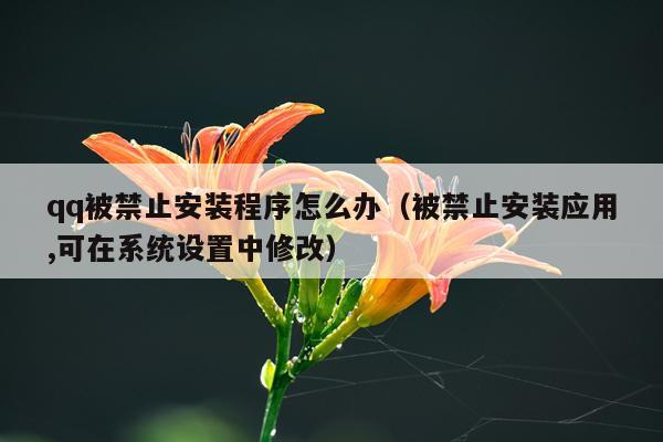 qq被禁止安装程序怎么办(被禁止安装应用,可在系统设置中修改)