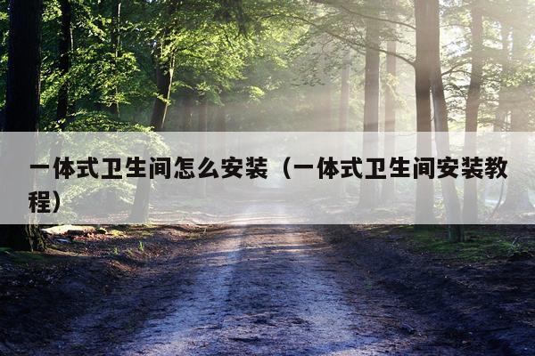 一体式卫生间怎么安装(一体式卫生间安装教程)