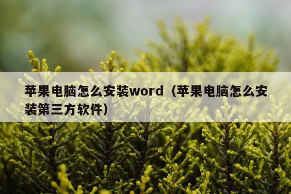 苹果电脑怎么安装word(苹果电脑怎么安装第三方软件)