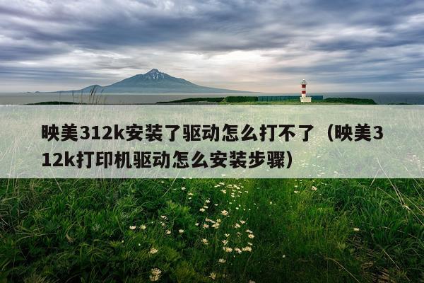 映美312k安装了驱动怎么打不了(映美312k打印机驱动怎么安装步骤)