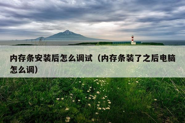 内存条安装后怎么调试(内存条装了之后电脑怎么调)