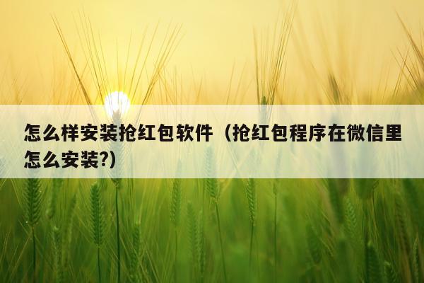 怎么样安装抢红包软件(抢红包程序在微信里怎么安装?)