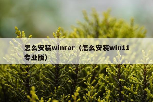 怎么安装winrar(怎么安装win11专业版)