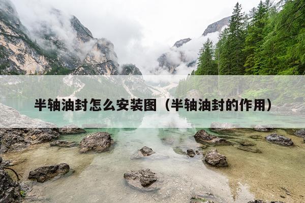 半轴油封怎么安装图(半轴油封的作用)