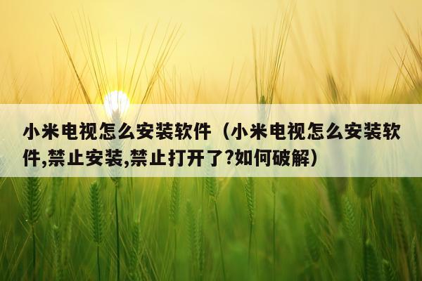 小米电视怎么安装软件(小米电视怎么安装软件,禁止安装,禁止打开了?如何破解)