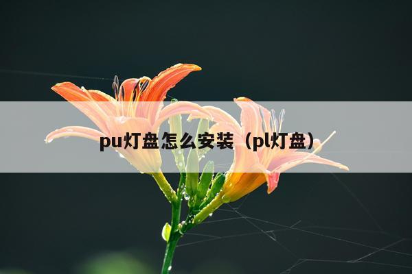 pu灯盘怎么安装(pl灯盘)