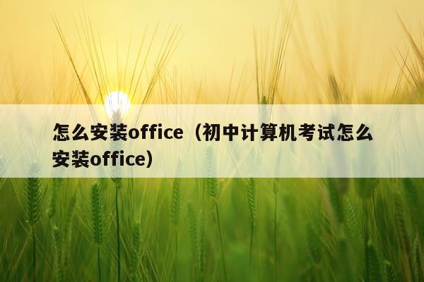 怎么安装office(初中计算机考试怎么安装office)