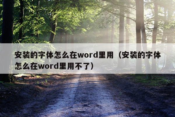 安装的字体怎么在word里用(安装的字体怎么在word里用不了)