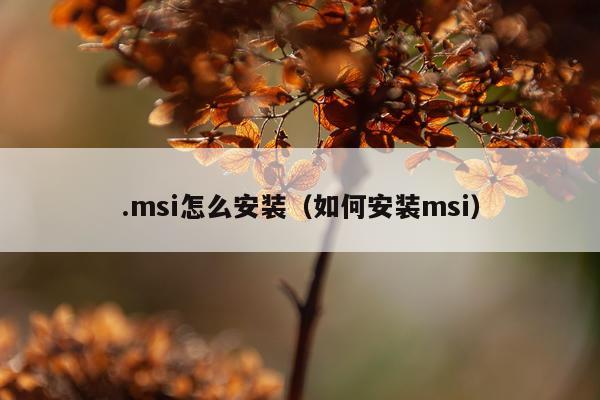 .msi怎么安装(如何安装msi)