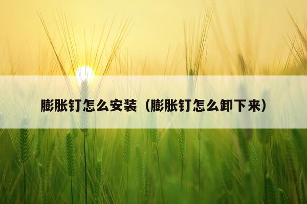 膨胀钉怎么安装(膨胀钉怎么卸下来)