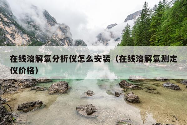 在线溶解氧分析仪怎么安装(在线溶解氧测定仪价格)