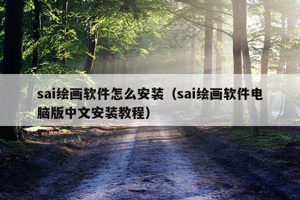 sai绘画软件怎么安装(sai绘画软件电脑版中文安装教程)