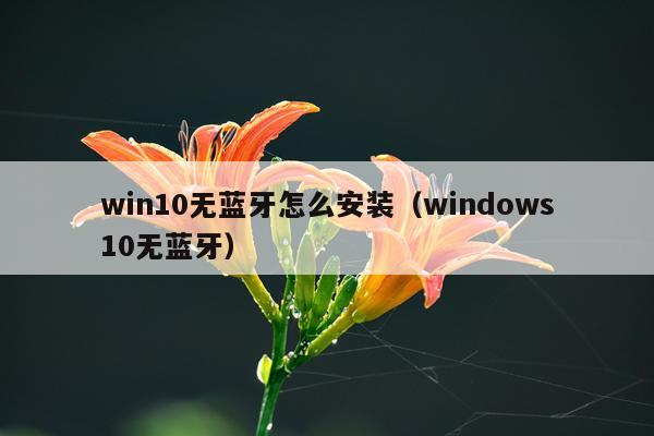 win10无蓝牙怎么安装(windows10无蓝牙)