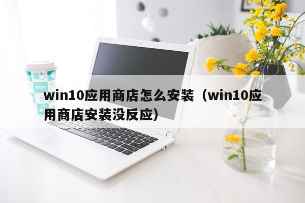 win10应用商店怎么安装(win10应用商店安装没反应)