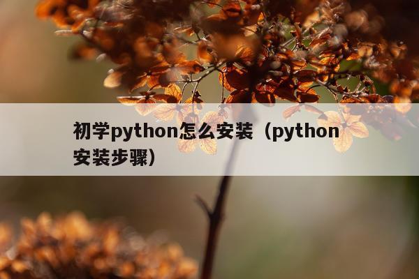 初学python怎么安装(python 安装步骤)