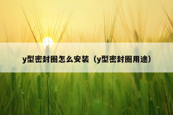 y型密封圈怎么安装(y型密封圈用途)