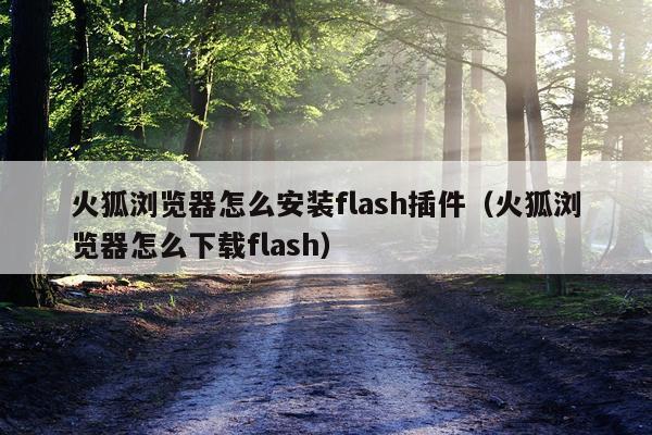 火狐浏览器怎么安装flash插件(火狐浏览器怎么下载flash)