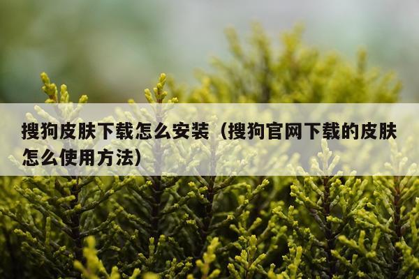 搜狗皮肤下载怎么安装(搜狗官网下载的皮肤怎么使用方法)