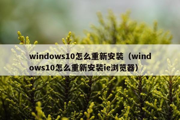 windows10怎么重新安装(windows10怎么重新安装ie浏览器)