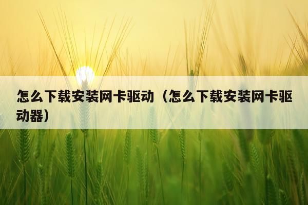 怎么下载安装网卡驱动(怎么下载安装网卡驱动器)