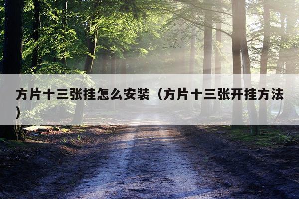 方片十三张挂怎么安装(方片十三张开挂方法)