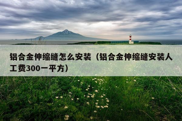铝合金伸缩缝怎么安装(铝合金伸缩缝安装人工费300一平方)