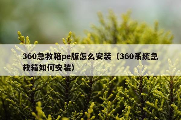 360急救箱pe版怎么安装(360系统急救箱如何安装)