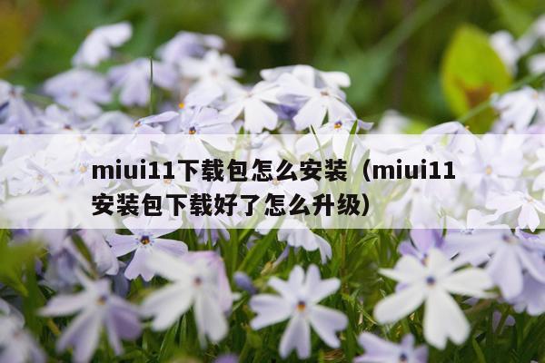 miui11下载包怎么安装(miui11安装包下载好了怎么升级)