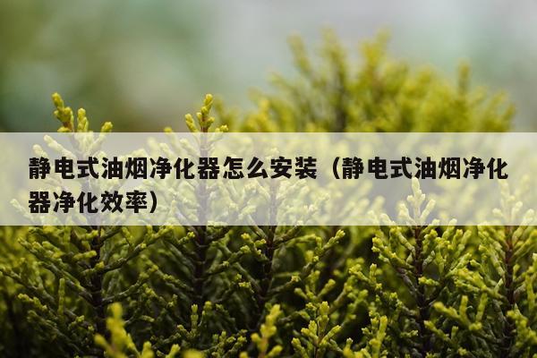 静电式油烟净化器怎么安装(静电式油烟净化器净化效率)