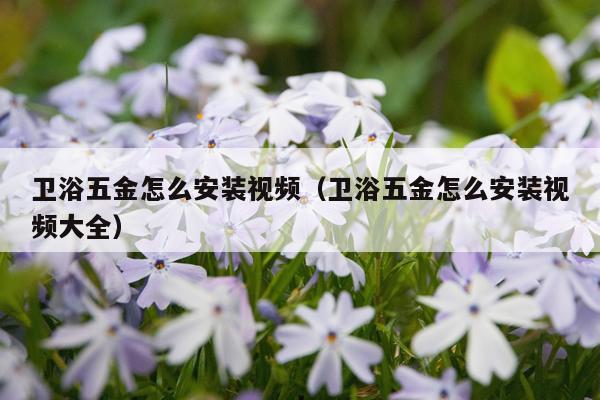 卫浴五金怎么安装视频(卫浴五金怎么安装视频大全)