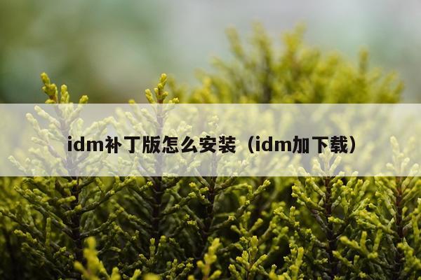 idm补丁版怎么安装(idm加下载)