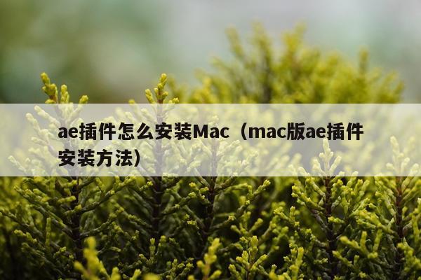 ae插件怎么安装Mac(mac版ae插件安装方法)