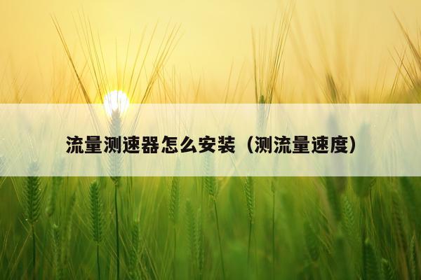 流量测速器怎么安装(测流量速度)