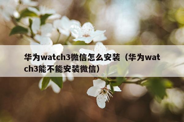 华为watch3微信怎么安装(华为watch3能不能安装微信)