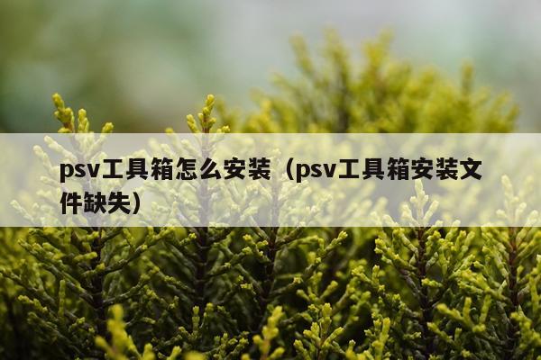 psv工具箱怎么安装(psv工具箱安装文件缺失)