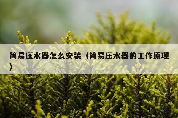 简易压水器怎么安装(简易压水器的工作原理)