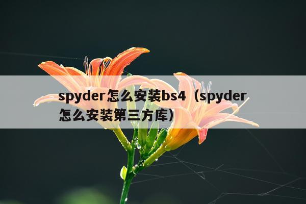 spyder怎么安装bs4(spyder怎么安装第三方库)