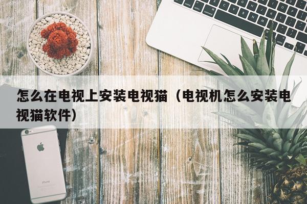 怎么在电视上安装电视猫(电视机怎么安装电视猫软件)