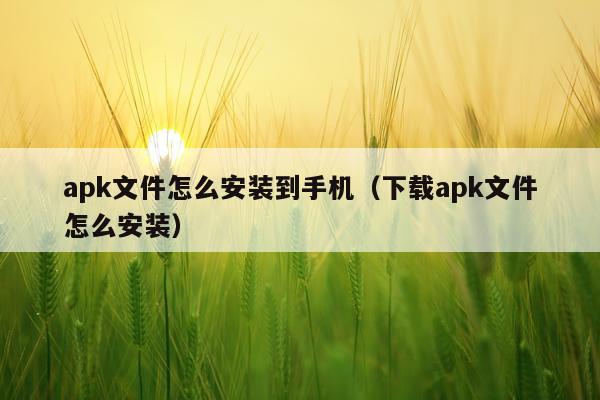 apk文件怎么安装到手机(下载apk文件怎么安装)