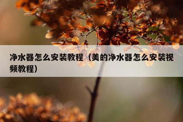 净水器怎么安装教程(美的净水器怎么安装视频教程)