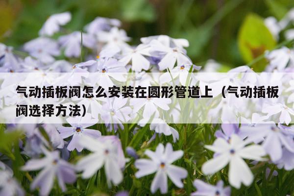 气动插板阀怎么安装在圆形管道上(气动插板阀选择方法)